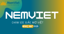 Nemviet - Nệm Việt - Chăm sóc giấc ngủ Việt
